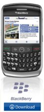 blackberrypic.jpg