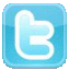 twitter-icon.png